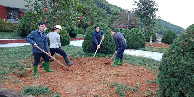 Thủy điện Thác Bà: Tích cực trồng cây, nhớ lời Bác Hồ dạy - ảnh 1