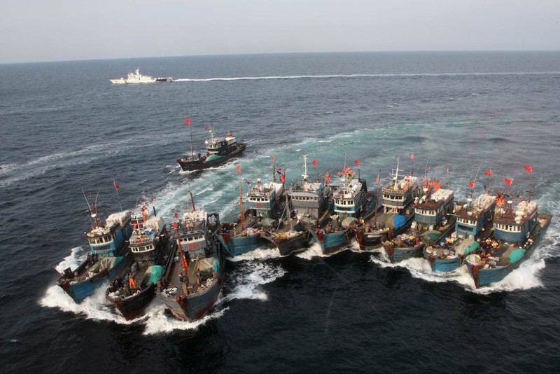 Chuyên gia: Báo động nguồn cá tại Biển Đông trước các đội tàu cá Trung Quốc  - ảnh 2