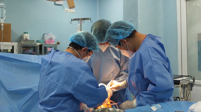 Bác sĩ dùng màng ngoài tim bò tạo đoạn động mạch chủ bụng bị hư cứu bệnh nhân - ảnh 2