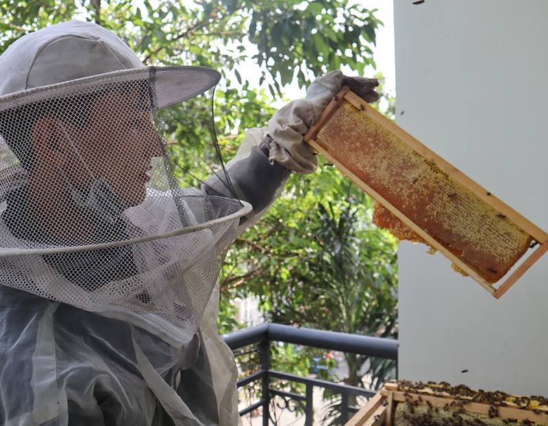 Cú sốc thuế hơn 400% với mật ong Việt Nam - ảnh 1