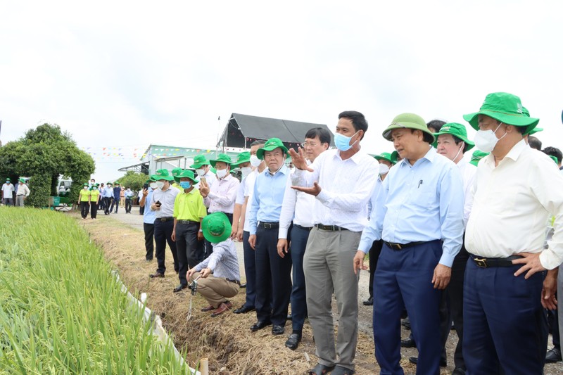 Chủ tịch nước Nguyễn Xuân Phúc làm việc tại Đồng Tháp - ảnh 2