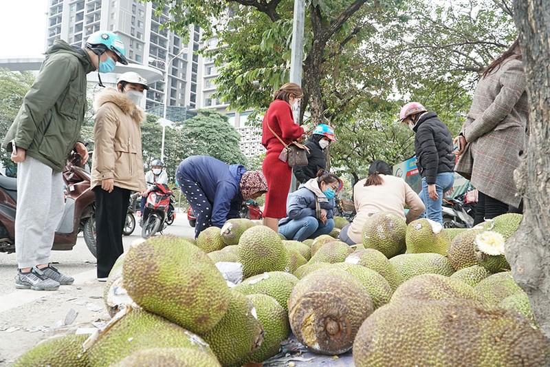 Gỡ khó nguồn cung bất ổn từ Trung Quốc - ảnh 1