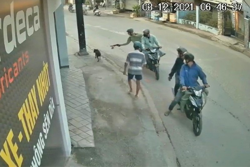 Trộm chó trước mặt chủ: Trước nuôi chó giữ nhà, nay gắn camera để giữ chó - ảnh 2