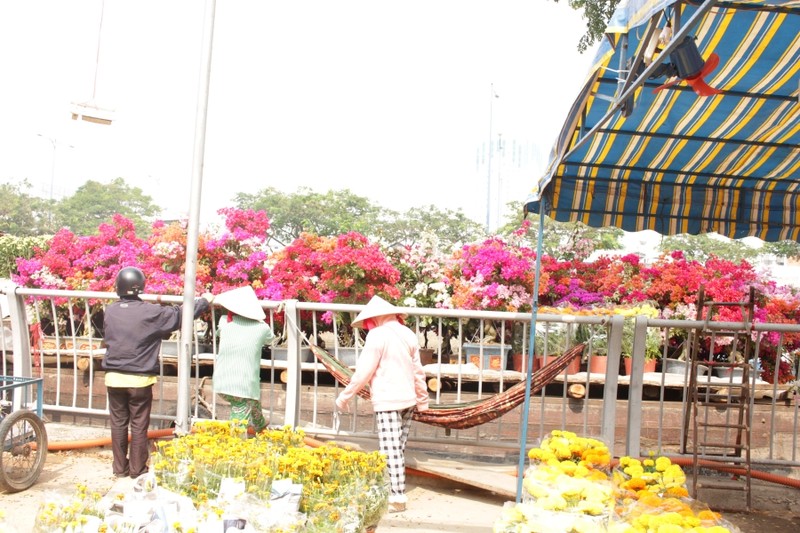 TP.HCM: Nhộn nhịp trên bến dưới thuyền chợ hoa xuân Bến Bình Đông - ảnh 7