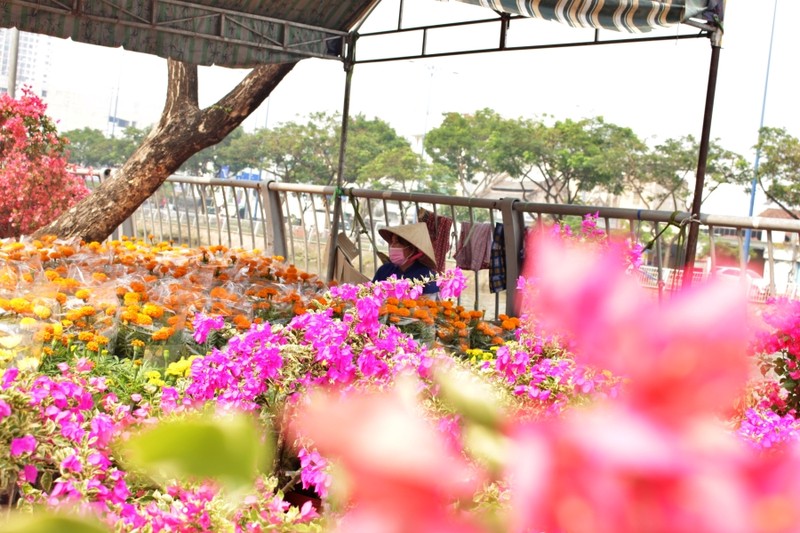 TP.HCM: Nhộn nhịp trên bến dưới thuyền chợ hoa xuân Bến Bình Đông - ảnh 6