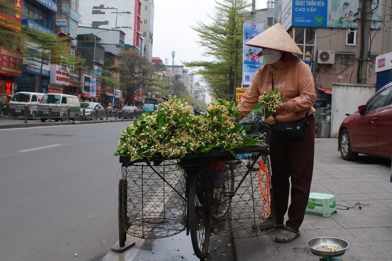 Hà Nội: Hoa bưởi xuống phố, giá giảm nhưng vắng người mua - ảnh 3