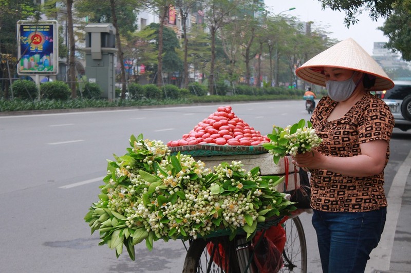 Hà Nội: Hoa bưởi xuống phố, giá giảm nhưng vắng người mua - ảnh 4