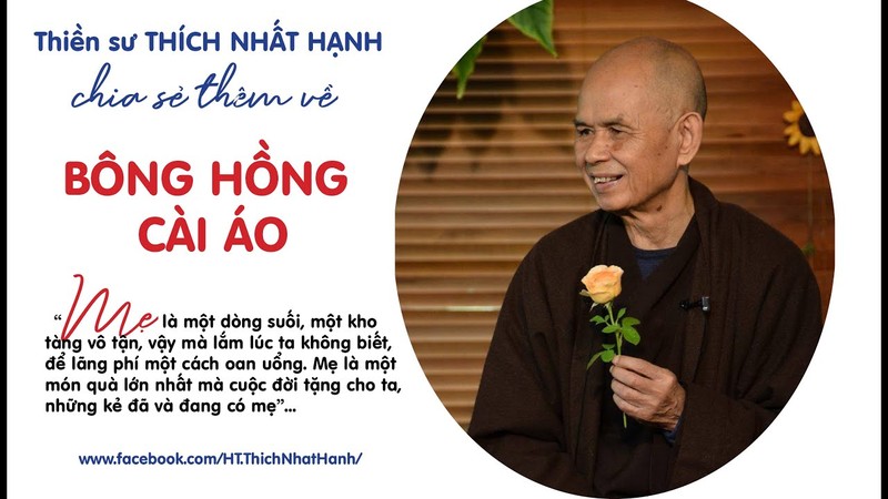 Thiền sư Thích Nhất Hạnh với 'Bông hồng cài áo' ngày lễ Vu Lan - ảnh 2