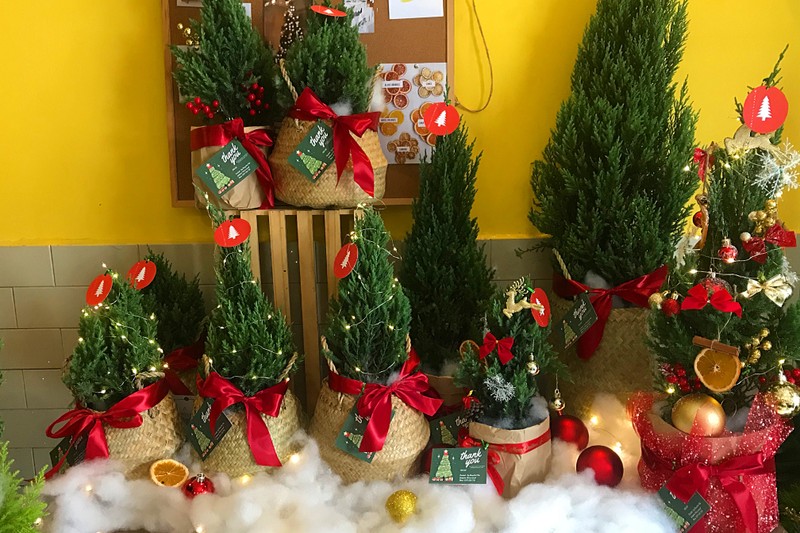 Sắp tới Giáng sinh, cây thông Noel mini đắt hàng trên chợ mạng - ảnh 2