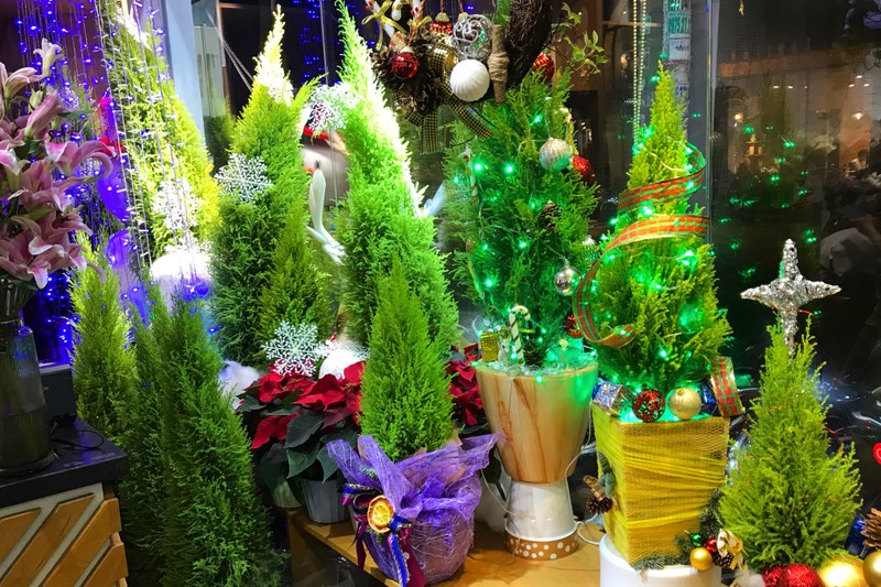 Sắp tới Giáng sinh, cây thông Noel mini đắt hàng trên chợ mạng - ảnh 4