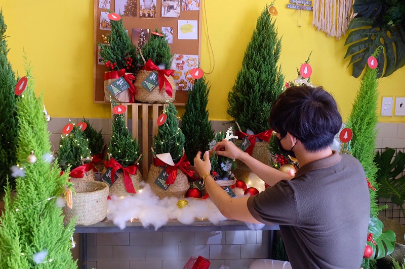Sắp tới Giáng sinh, cây thông Noel mini đắt hàng trên chợ mạng - ảnh 1