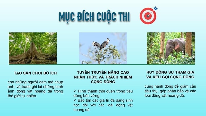 Vườn quốc gia Cát Tiên tổ chức cuộc thi vẽ tranh, chụp ảnh về động vật hoang dã - ảnh 2