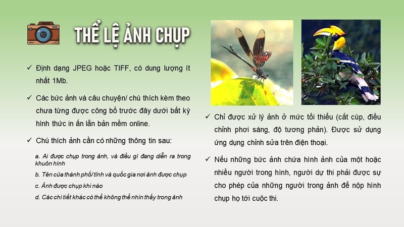 Vườn quốc gia Cát Tiên tổ chức cuộc thi vẽ tranh, chụp ảnh về động vật hoang dã - ảnh 6