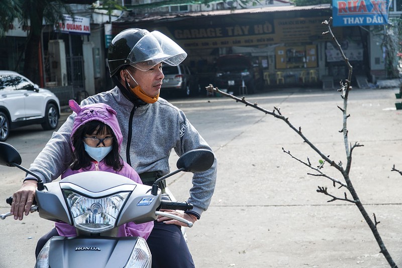 Hà Nội: Hoa lê rừng xuống phố phục vụ người dân chơi Tết sớm - ảnh 7