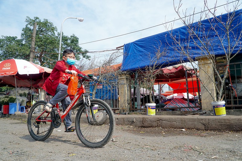 Hà Nội: Hoa lê rừng xuống phố phục vụ người dân chơi Tết sớm - ảnh 9