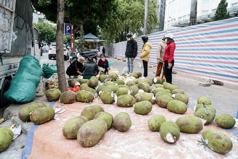 Người dân Hà Nội đổ xô đi 'giải cứu' mít miền Tây - ảnh 1