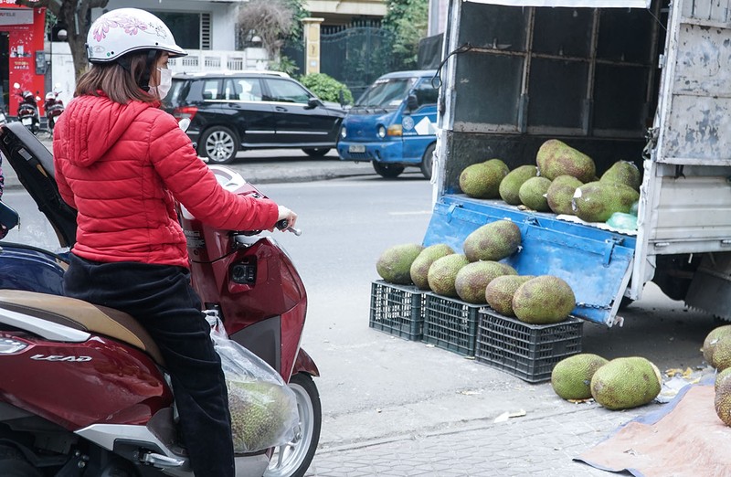 Người dân Hà Nội đổ xô đi 'giải cứu' mít miền Tây - ảnh 8