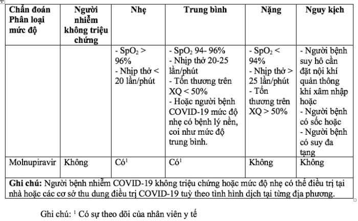 Bộ Y tế bổ sung hướng dẫn sử dụng thuốc Molnupiravir và Remdesivir  - ảnh 1