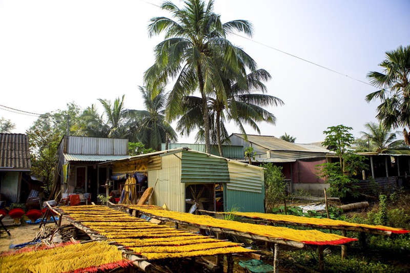 Làng nhang Bình Chánh rực rỡ sắc màu khi vào vụ Tết - ảnh 10