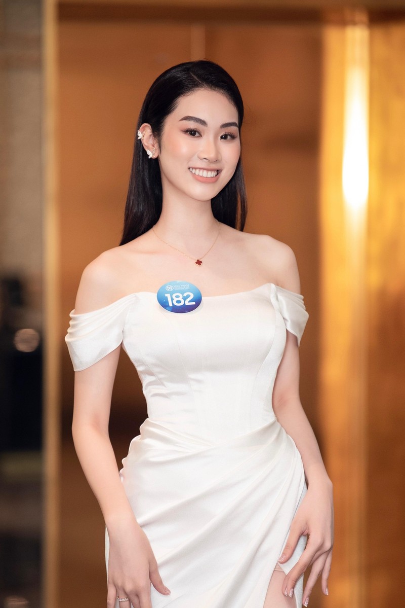 Nhan sắc cực phẩm của dàn thí sinh Miss World Vietnam 2022 - ảnh 1