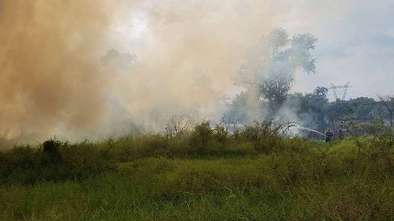 Bãi cỏ hàng ngàn mét vuông ở quận Bình Tân lại cháy đầu năm - ảnh 1