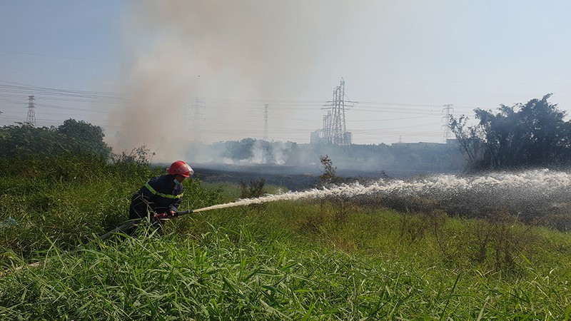 Bãi cỏ hàng ngàn mét vuông ở quận Bình Tân lại cháy đầu năm - ảnh 4