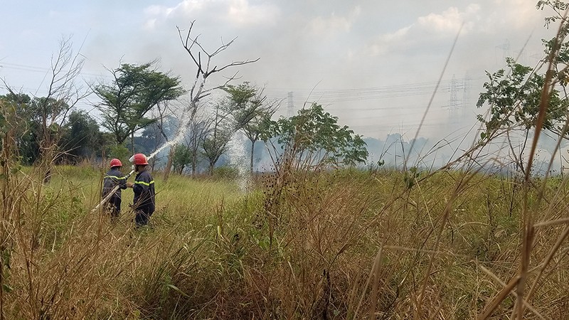 Bãi cỏ hàng ngàn mét vuông ở quận Bình Tân lại cháy đầu năm - ảnh 2
