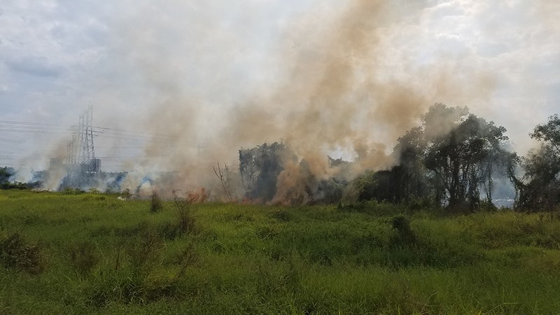 Bãi cỏ hàng ngàn mét vuông ở quận Bình Tân lại cháy đầu năm - ảnh 3