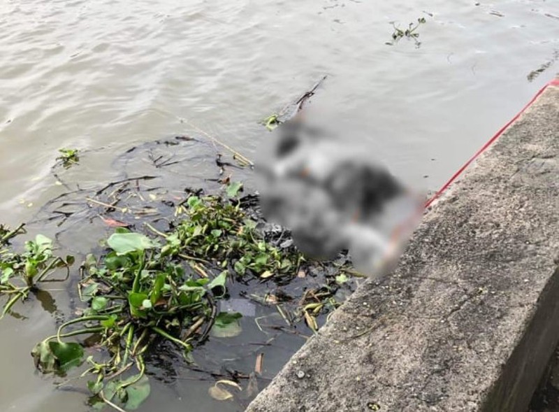 Đi tập thể dục, tá hỏa phát hiện thi thể trôi trên sông Sài Gòn - ảnh 1