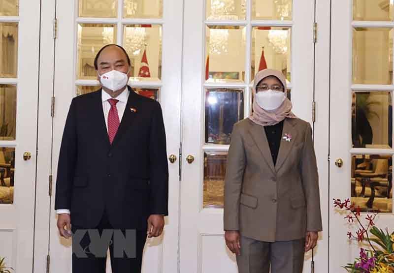 Tổng thống Singapore đón Chủ tịch nước Nguyễn Xuân Phúc tại chính Cung Istana - ảnh 2
