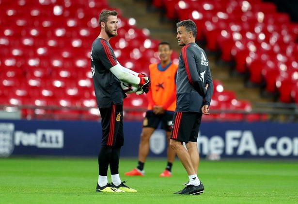 De Gea khó chịu với ứng viên HLV MU - ảnh 5