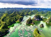 Nhiều tour Tết được tung ra với giá từ hơn 1 triệu đồng 