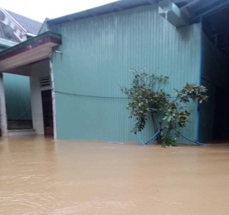 Hàng ngàn ngôi nhà ở Bình Định bị ngập, có nơi chìm sâu hơn 1 m - ảnh 6