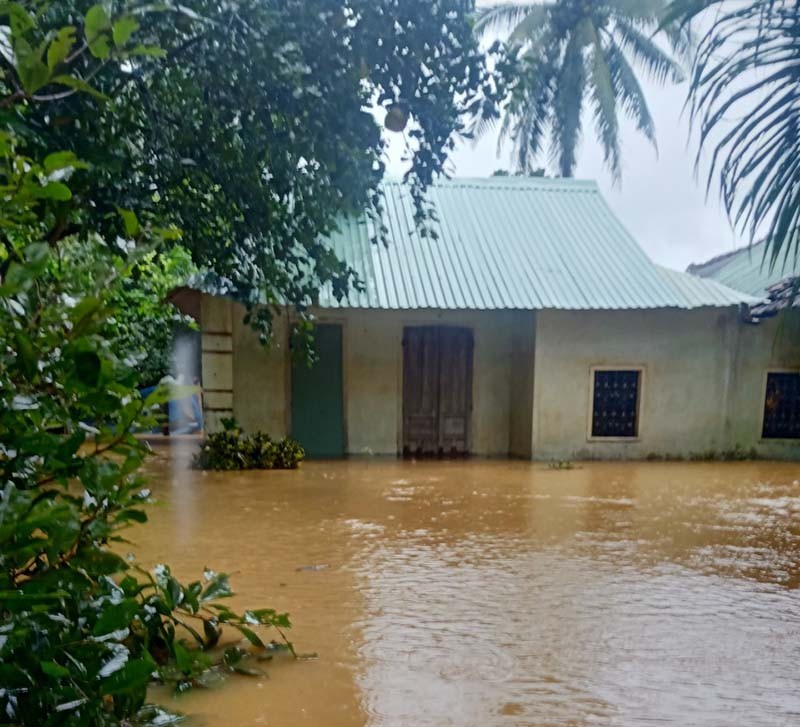 Hàng ngàn ngôi nhà ở Bình Định bị ngập, có nơi chìm sâu hơn 1 m - ảnh 8