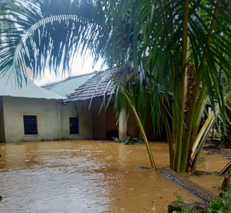 Hàng ngàn ngôi nhà ở Bình Định bị ngập, có nơi chìm sâu hơn 1 m - ảnh 10