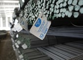 DN ở châu Âu cung cấp thiết bị cho thép Hòa Phát