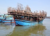 Cứu 49 người gặp nạn trên vùng biển Hoàng Sa