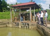 Miền Trung đối diện cơn hạn hán lịch sử sau 45 năm