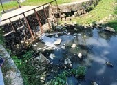 Nước thải bốc mùi thối tuồn ra hồ nước công viên ở Đà Nẵng