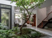 Ngôi nhà tựa như ốc đảo xanh giữa lòng Hà Nội