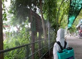 Thảo Cầm Viên được phun khử trùng, duy trì hoạt động