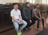 Kháng án, ba bị cáo được hưởng án treo
