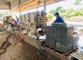 Sau thắng kiện, công ty muốn được thuê đất 50 năm