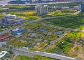 UBND TP.HCM đã nhận được tâm thư của Tân Hoàng Minh