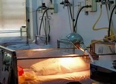 Cứu sống bé sơ sinh bị cột trong túi nylon bỏ rơi ven đường