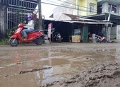 'Nhà thầu Trung Quốc thất hứa nhiều lần, không tin được'