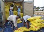 Đề nghị Bộ Công an điều tra sai phạm trong xuất khẩu gạo