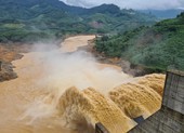 Quảng Nam loại 6 dự án thuỷ điện ra khỏi quy hoạch
