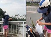 Camera ghi cảnh một phụ nữ trộm cây nơi công cộng