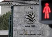WTO hoãn mọi cuộc họp trong 10 ngày vì dịch COVID-19